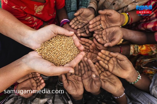 இலங்கையில் வறட்சியால் உணவுப் பற்றாக்குறை ஏற்படும் அபாயம் - அமைச்சர் அதிர்ச்சித் தகவல் samugammedia 